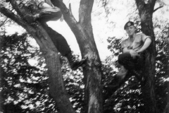 Op-weg-naar-Coevorden-3