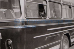 busvervoer-naar-optreden