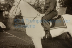 23-Het-paard-van-Sinterklaas